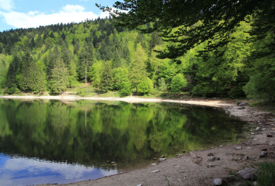 Photo - Lac des corbeaux Lac des corbeaux