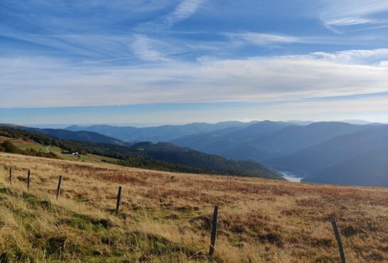 Photo - La bresse route des cretes1