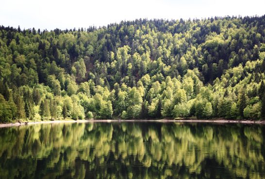 Lake of Ravens in the Vosges Landscapes of the Vosges, France